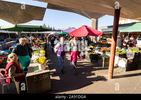 Marktstände mit cut Chrysantheme, Blumen und Gemüse in Dachlosen Marktplatz, Sopron, Ungarn Stockfoto