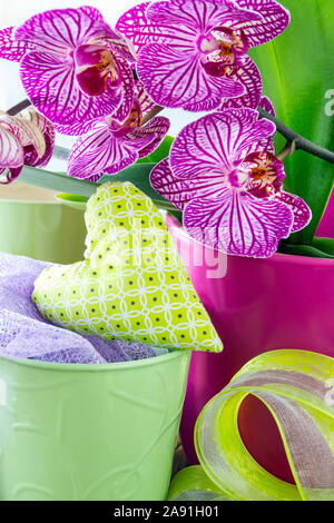 Home Dekoration und Orchideen Stockfoto