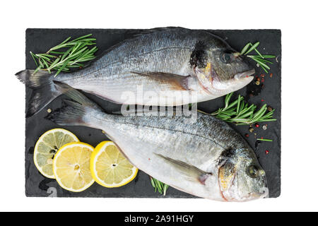 Frischer Fisch dorado oder Dorade und Zutaten zum Kochen, Zitrone, Pfeffer und Rosmarin auf schwarzem Schiefer auf weißem Hintergrund. top View Stockfoto