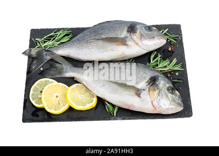 Frischer Fisch dorado oder Dorade. Roher Fisch Wolfsbarsch mit Gewürzen und Kräutern Zutaten zum Kochen auf weißem Hintergrund. gesunde Ernährung Lebensmittel Stockfoto