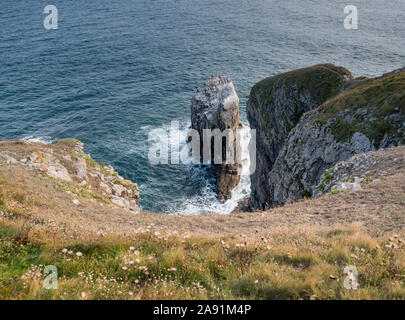 Sea Stacks, die durch die Erosion der Küsten an der Küste von Pembrokeshire, Wales. Stockfoto