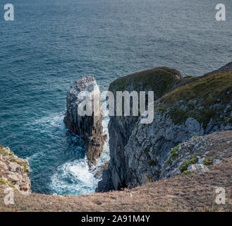 Sea Stacks, die durch die Erosion der Küsten an der Küste von Pembrokeshire, Wales. Stockfoto