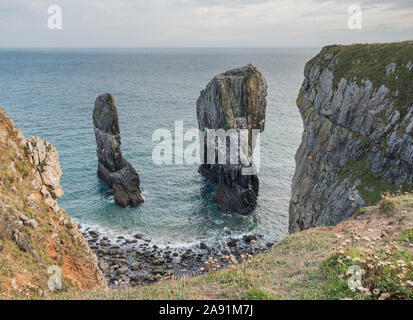 Sea Stacks, die durch die Erosion der Küsten an der Küste von Pembrokeshire, Wales. Stockfoto