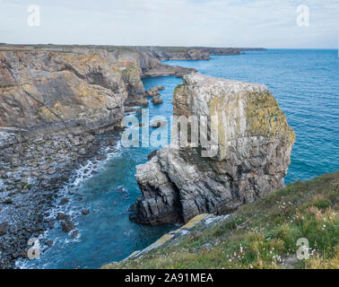 Sea Stacks, die durch die Erosion der Küsten an der Küste von Pembrokeshire, Wales. Stockfoto