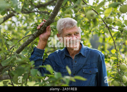 Ältere Menschen unter Baum Stockfoto