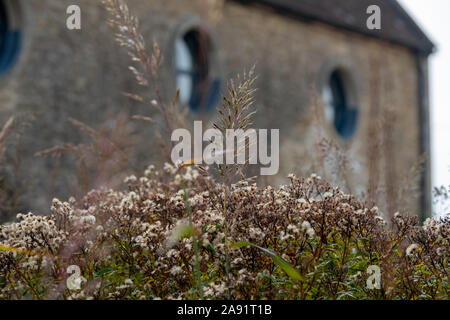 Herrlicher Garten bei Hauser & Wirth Galerie nannte die Oudolf Feld, Durslade Farm, Somerset UK. Durch die Landschaft Künstler Piet Oudolf konzipiert. Stockfoto