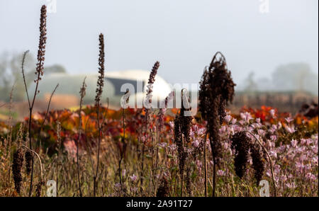 Herrlicher Garten bei Hauser & Wirth Galerie nannte die Oudolf Feld, Durslade Farm, Somerset UK. Durch die Landschaft Künstler Piet Oudolf konzipiert. Stockfoto