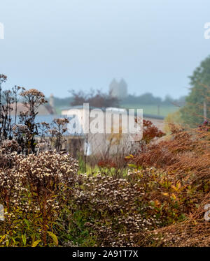 Herrlicher Garten bei Hauser & Wirth Galerie nannte die Oudolf Feld, Durslade Farm, Somerset UK. Durch die Landschaft Künstler Piet Oudolf konzipiert. Stockfoto