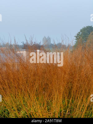 Herrlicher Garten bei Hauser & Wirth Galerie nannte die Oudolf Feld, Durslade Farm, Somerset UK. Durch die Landschaft Künstler Piet Oudolf konzipiert. Stockfoto