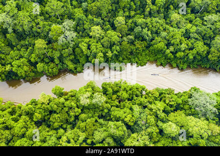 Ansicht von oben, beeindruckende Luftaufnahme von tropischen Regenwald mit dem Sungai Tembeling Fluss fließt. Stockfoto