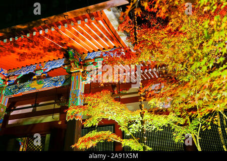 Ansicht der Zenrin-ji-Tempel mit bunten Bäumen in der Nacht im Herbst in Kyoto, Japan angezeigt. Stockfoto