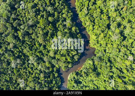 Ansicht von oben, beeindruckende Luftaufnahme von tropischen Regenwald mit dem Sungai Tembeling Fluss fließt. Stockfoto