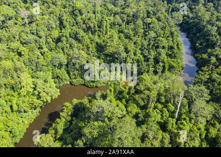 Ansicht von oben, beeindruckende Luftaufnahme von tropischen Regenwald mit dem Sungai Tembeling Fluss fließt. Stockfoto