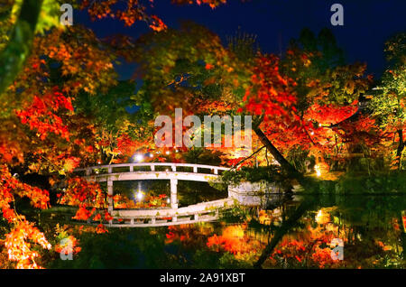 Ansicht der Zenrin-ji-Tempel mit bunten Bäumen in der Nacht im Herbst in Kyoto, Japan angezeigt. Stockfoto