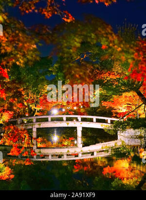 Ansicht der Zenrin-ji-Tempel mit bunten Bäumen in der Nacht im Herbst in Kyoto, Japan angezeigt. Stockfoto