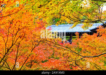 Ansicht des Tofuku-ji-Tempel im Herbst mit bunten Bäumen in Kyoto, Japan. Stockfoto