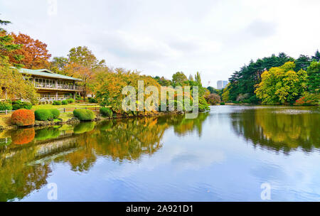 Blick auf den schönen Garten mit bunten Bäume im Herbst in Shinjuku Gyoen Garden in Tokio, Japan. Stockfoto