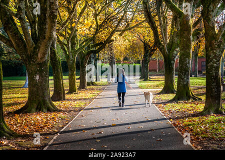 Die Stadt Cork, Cork, Irland. 12. November 2019. Besucher schlendern durch Fitzgerald's Park, der größte Park in der Stadt Cork und Ori war Stockfoto