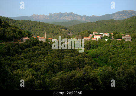 Die Green Mountain innere Landschaft und Dorf von Levie mit der Aiguilles de Bavella in der Ferne, Alta Rocca, Corse-du-Sud Korsika Frankreich Stockfoto