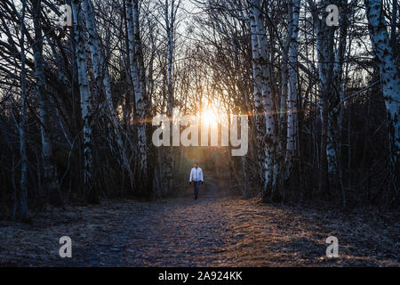 Frau zu Fuß durch Wald Stockfoto