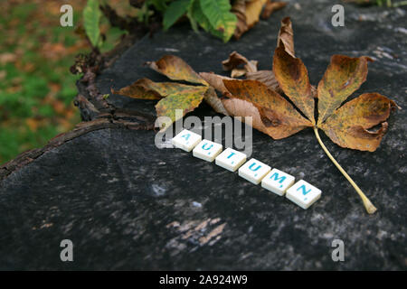 Herbstkonzept, Waldszene draußen, Blätter, nasser Baumstamm, Herbstwort in geschrotteln Buchstaben Stockfoto