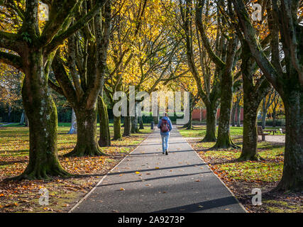 Die Stadt Cork, Cork, Irland. 12. November 2019. Besucher schlendern durch Fitzgerald's Park, der größte Park in der Stadt Cork und Ori war Stockfoto