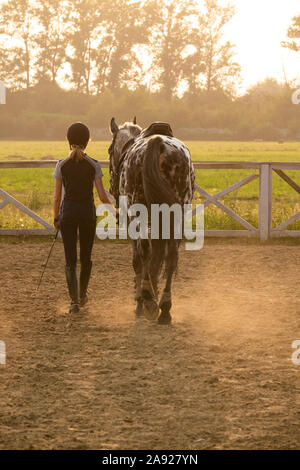 Schöne Mädchen Jockey stand neben ihr Pferd Tragen besonderer Uniform auf einen Himmel und grünen Feld Hintergrund auf einen Sonnenuntergang Stockfoto