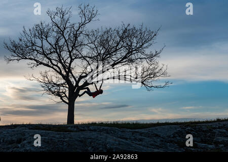 Silhouette Person kletterbaum Stockfoto