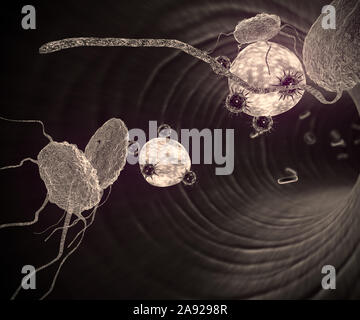 Innerhalb des Blutgefäßes, hochwertige 3D-Render von Blutzellen, Cholesterin im Blut Stockfoto