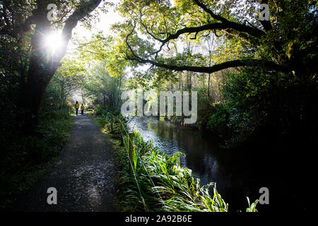 Mutter und Sohn gehen auf Fußweg von kleinen Fluss über Felsen auf einer Moody morgen am Glenarriff Holz finden, Irland, Ring of Kerry Stockfoto
