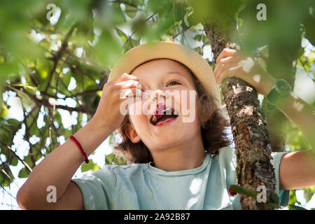 Mädchen mit Kirschen am Baum Stockfoto