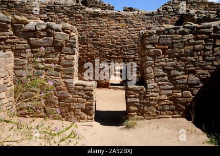 Ansicht der ausgegrabenen West Ruinen in Aztec Ruins National Monument. Nur ein kleiner Teil der Website ist geklaert und vieles verborgen bleibt. Stockfoto