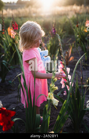 Mädchen auf gladiolen Feld Stockfoto