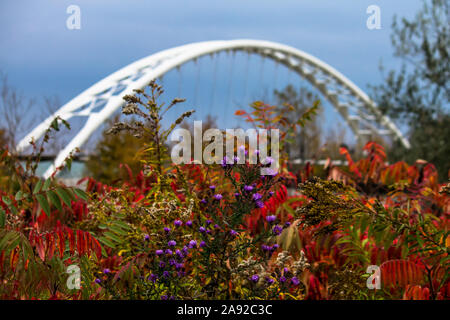 Humber Bay Bridge im Herbst Stockfoto