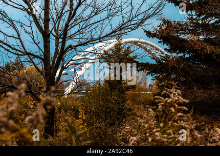 Humber Bay Bridge im Herbst Stockfoto