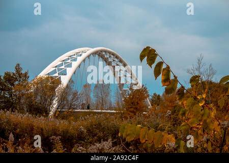 Humber Bay Bridge im Herbst Stockfoto