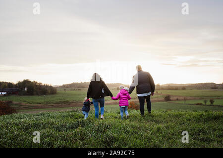 Familie gehen auf Wiese Stockfoto