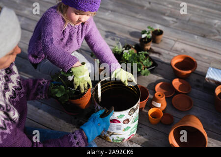 Mutter und Tochter Blumenerde Pflanze Stockfoto