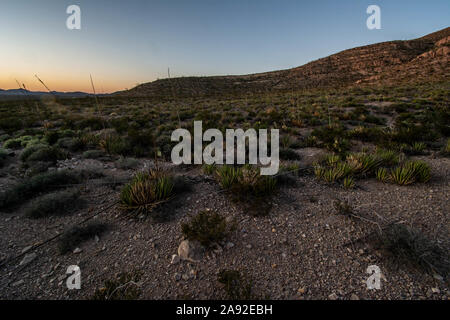 Hueco Berge, El Paso County, Texas, USA. Stockfoto