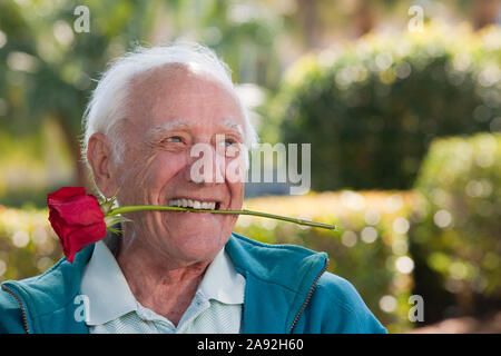 Nahaufnahme eines älteren Mannes mit einer romantischen Rose Sein Mund Stockfoto