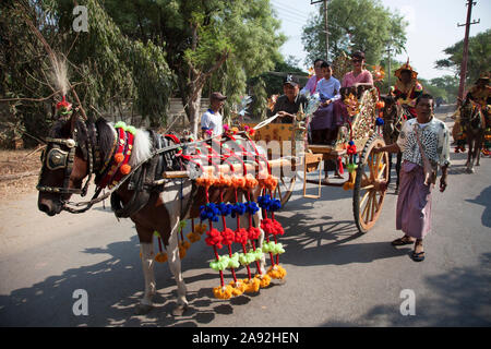 Parade der Initiation der Kinder zum Buddhismus, Karre mit Pferd fest angezogen, Nyaung U Dorf, Mandalay, Myanmar, Asien Stockfoto