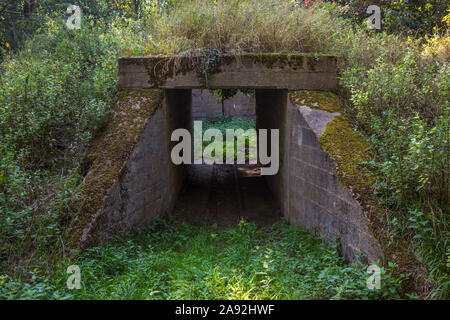 Essex, Großbritannien - 25 August 2019: ein verfallenes Gebäude an der historischen Royal Gunpowder Mills in Waltham Abbey, Essex. Die Gunpowder Mills wurden verwendet, um Crea Stockfoto