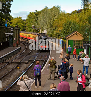 NYMR Dampflok Nr. 1264 nähert sich Pickering Station Stockfoto