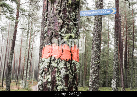 Trail-Markierung am Baum Stockfoto