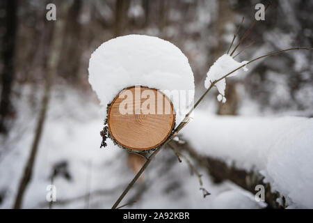 Schnee auf Log Stockfoto