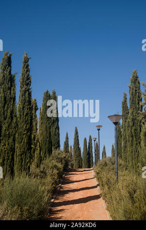 Landschaft mit Schmutz weg und Zypressen Stockfoto