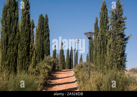 Landschaft mit Schmutz weg und Zypressen Stockfoto