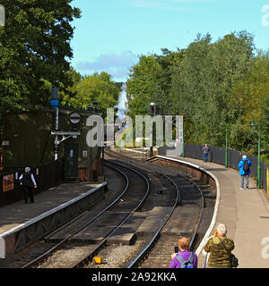 NYMR Dampflok runden der ersten Kurve nähert sich Pickering Station Stockfoto