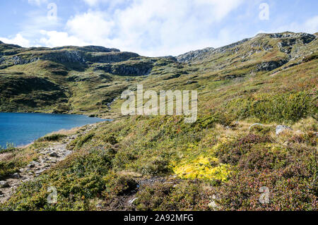 Fjorde im Süden Norwegens an einem sonnigen Tag Stockfoto