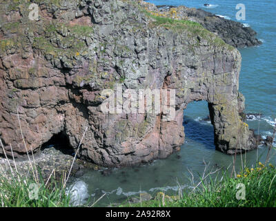 Elephant Rock in der Nähe von Kuching, Montrose, Angus, Schottland, aus südlicher Lage am Felsen gesehen. Stockfoto